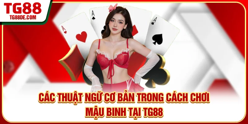 Các thuật ngữ cơ bản trong cách chơi mậu binh tại TG88