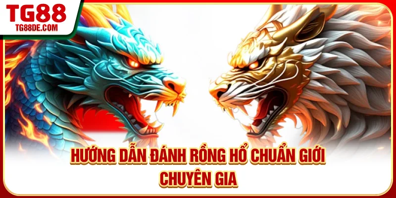 Hướng dẫn đánh Rồng Hổ chuẩn giới chuyên gia