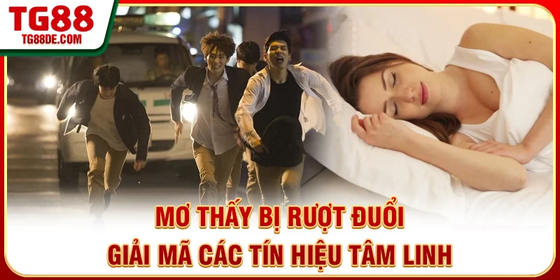 Mơ Thấy Bị Rượt Đuổi - Giải Mã Các Tín Hiệu Tâm Linh