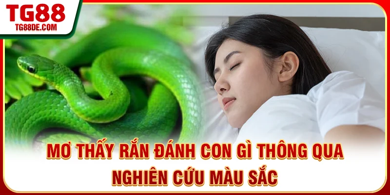 Mơ thấy rắn đánh con gì thông qua nghiên cứu màu sắc